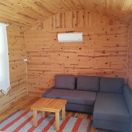 Séjour chez l'habitant Limetreehouses