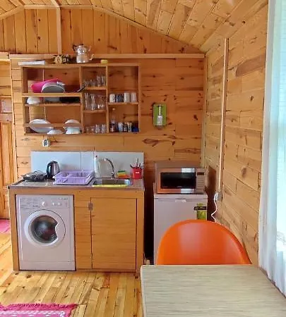 Séjour chez l'habitant Limetreehouses