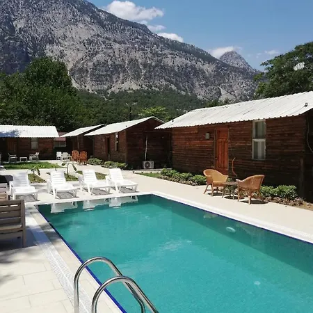 Limetreehouses Homestay