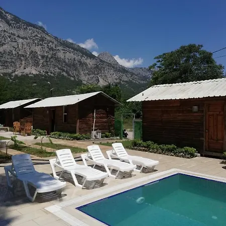 Homestay Limetreehouses